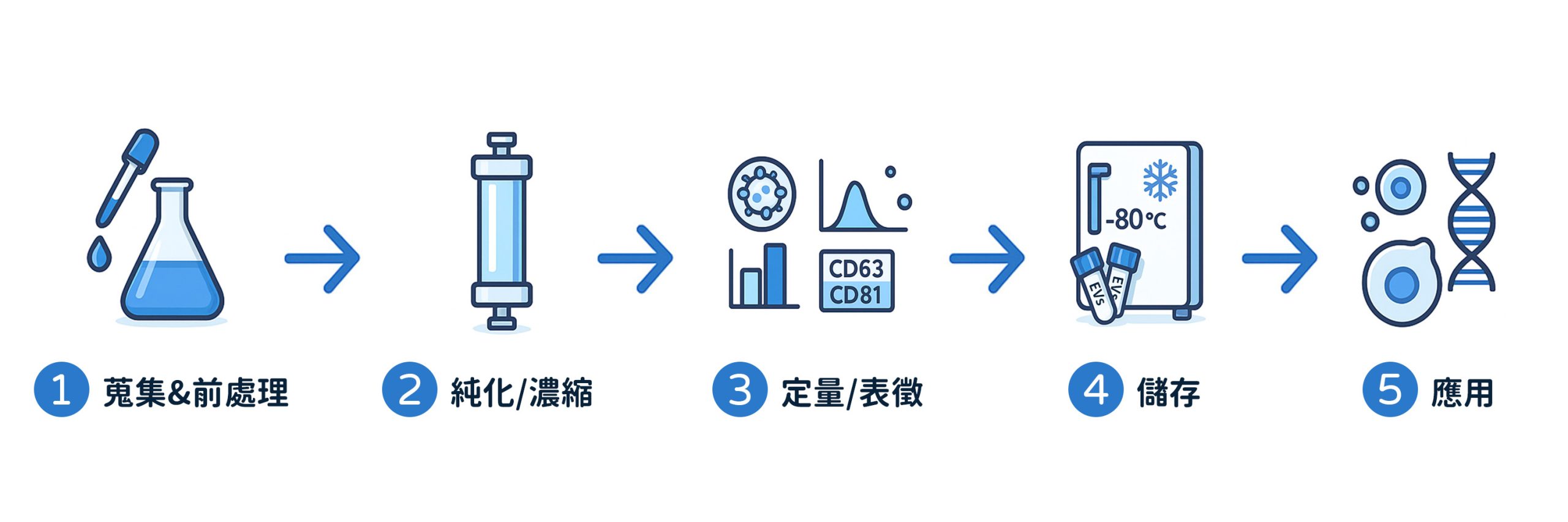 EVs 研究新手必读：从样品到结果的4个步骤